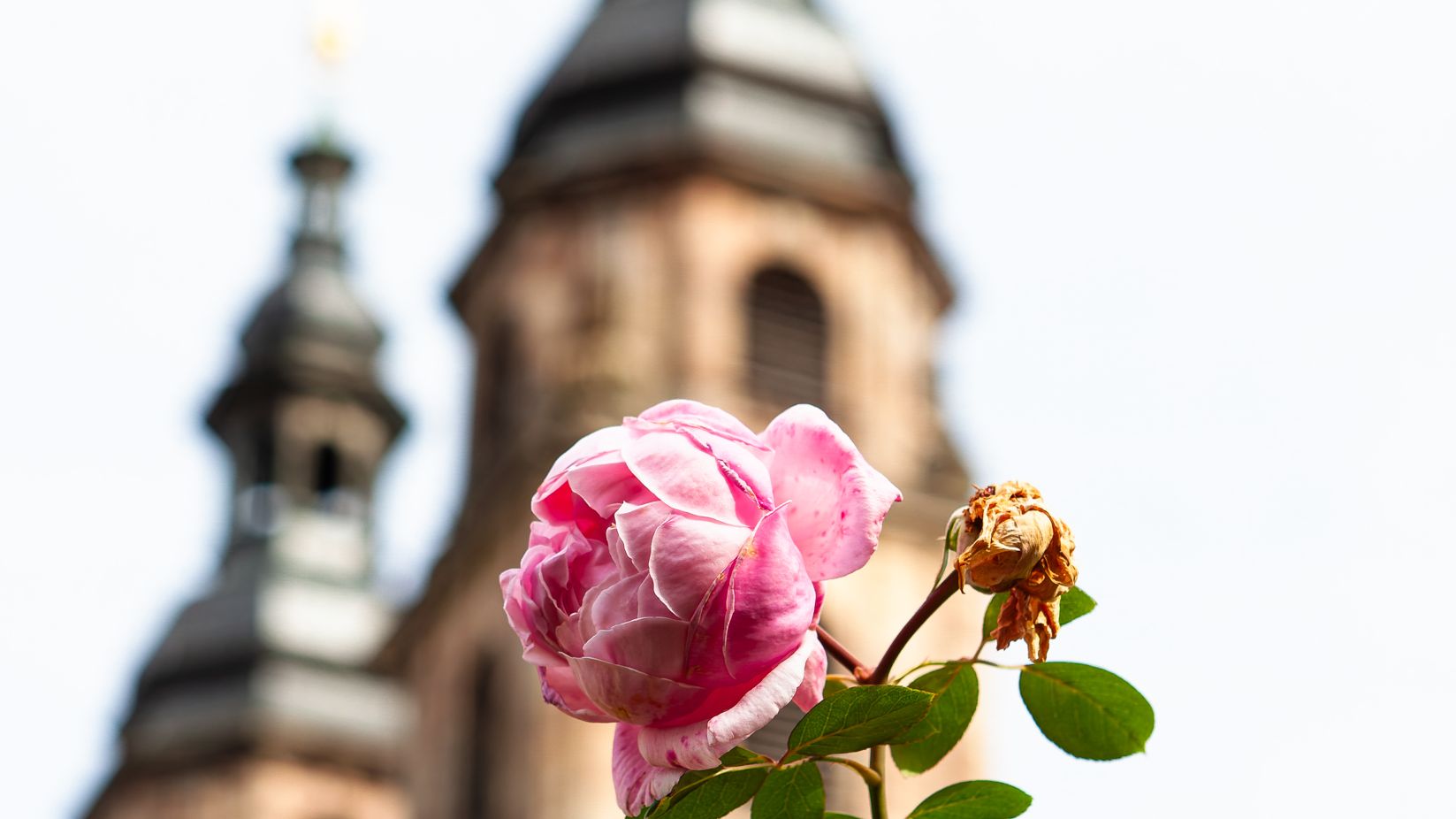 Offene Gärten zur Landesgartenschau